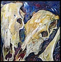 Cow Skulls