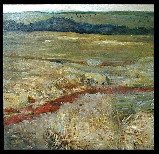 MarvickArt-WashitaFlats-1998